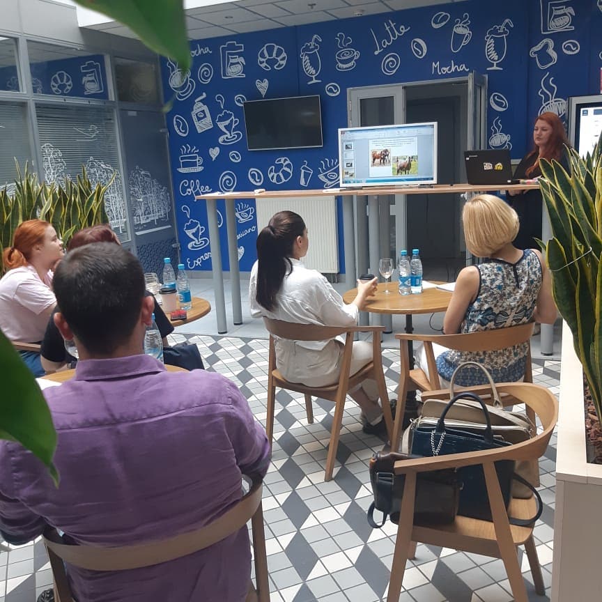 Обучающий курс сырный сомелье