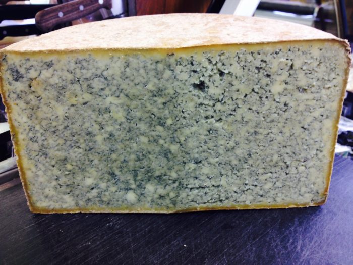 Плесень - доктор?