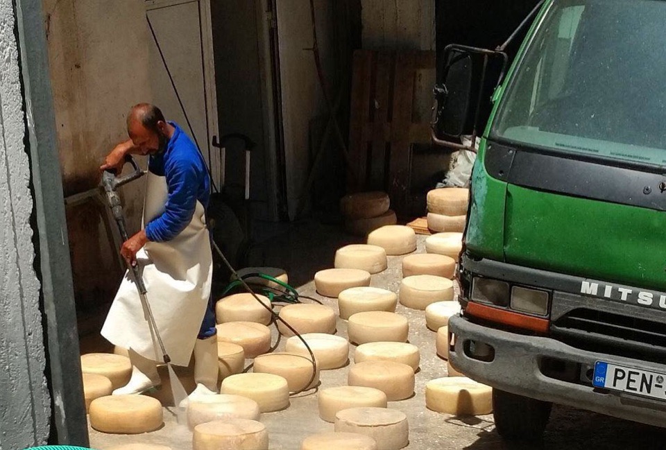 Перспективы российского сыроделия