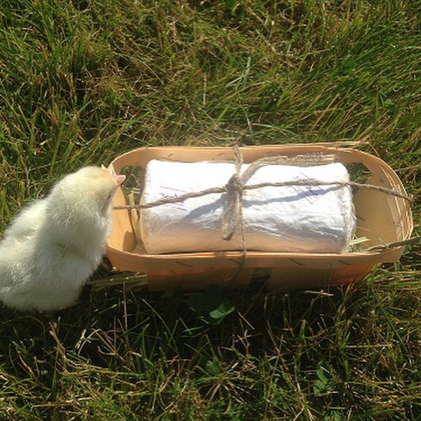 Сыроварня Деревня