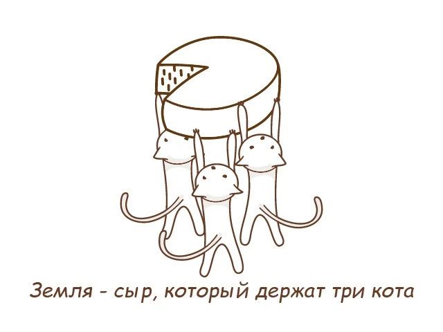 Каждый любитель котиков и сыра должен в это верить :) – как выбрать сыр, идеи подачи и сочетания