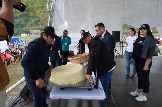 Оказывается, в книге рекордов Гиннеса, есть место и для сыров!