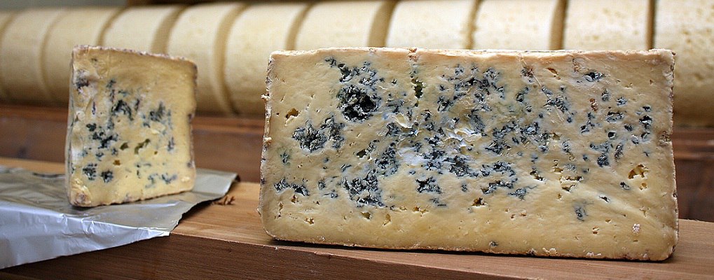 Плесневые сыры 15 декабря
