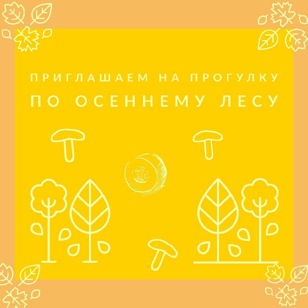 Нашими экскурсоводами сегодня будут мягкие сыры из белой плесени по имени Бри и Камамбер