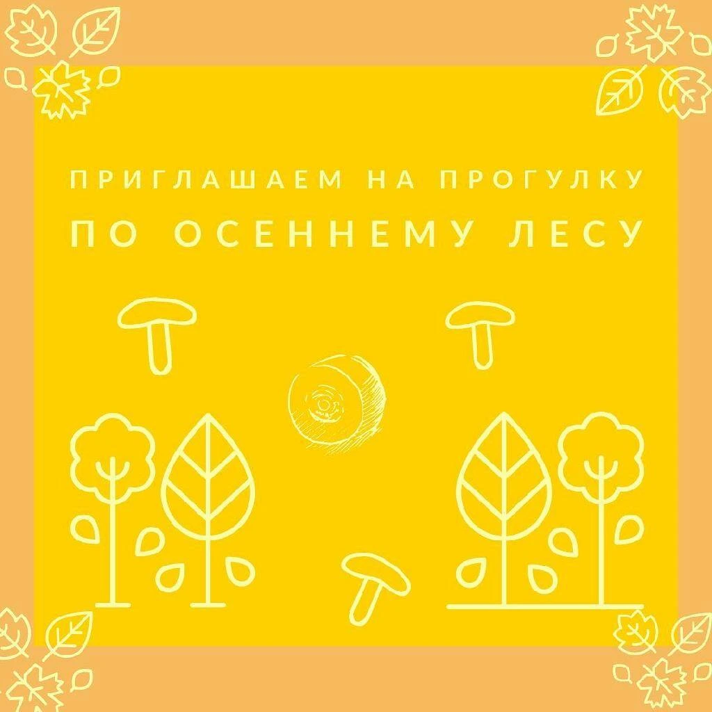 Нашими экскурсоводами сегодня будут мягкие сыры из белой плесени по имени Бри и Камамбер