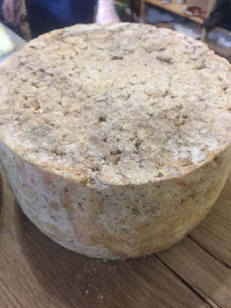 Стилтон Дольче из Свердловской области