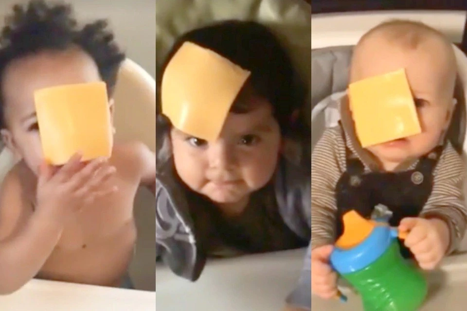 #CheeseChallenge – как выбрать сыр, идеи подачи и сочетания