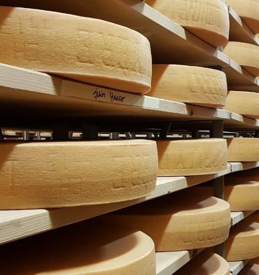 Счастливые коровки с цветами на голове спускаются с гор и возвращаются в деревню Вашрен