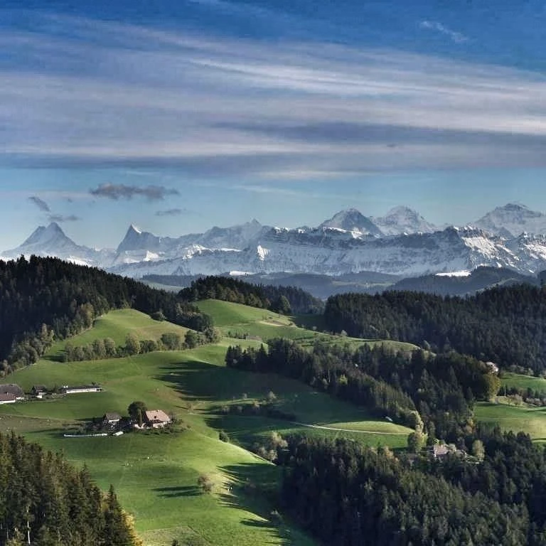 Сырный сомелье открывает новую рубрику!