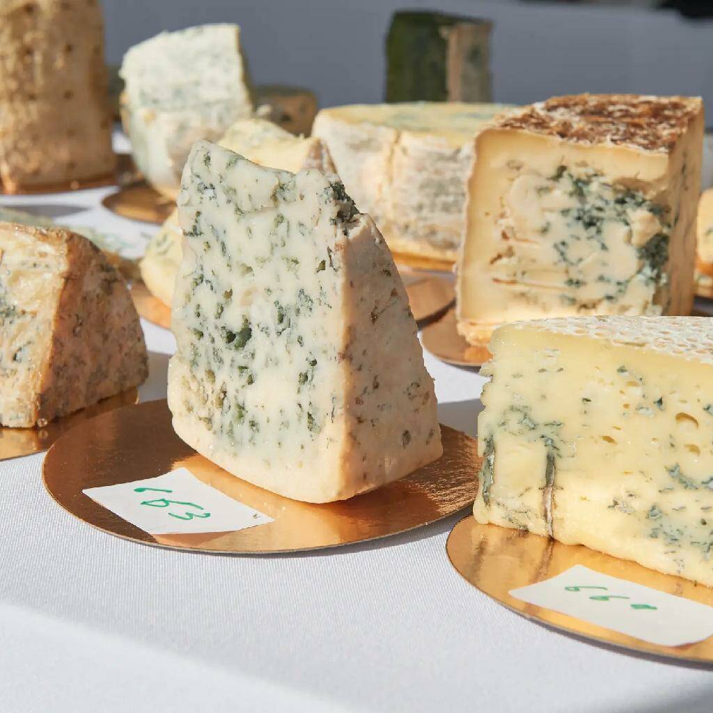 Знаете ли вы, что употребление сыра с плесенью может быть очень полезным для вашего здоровья?