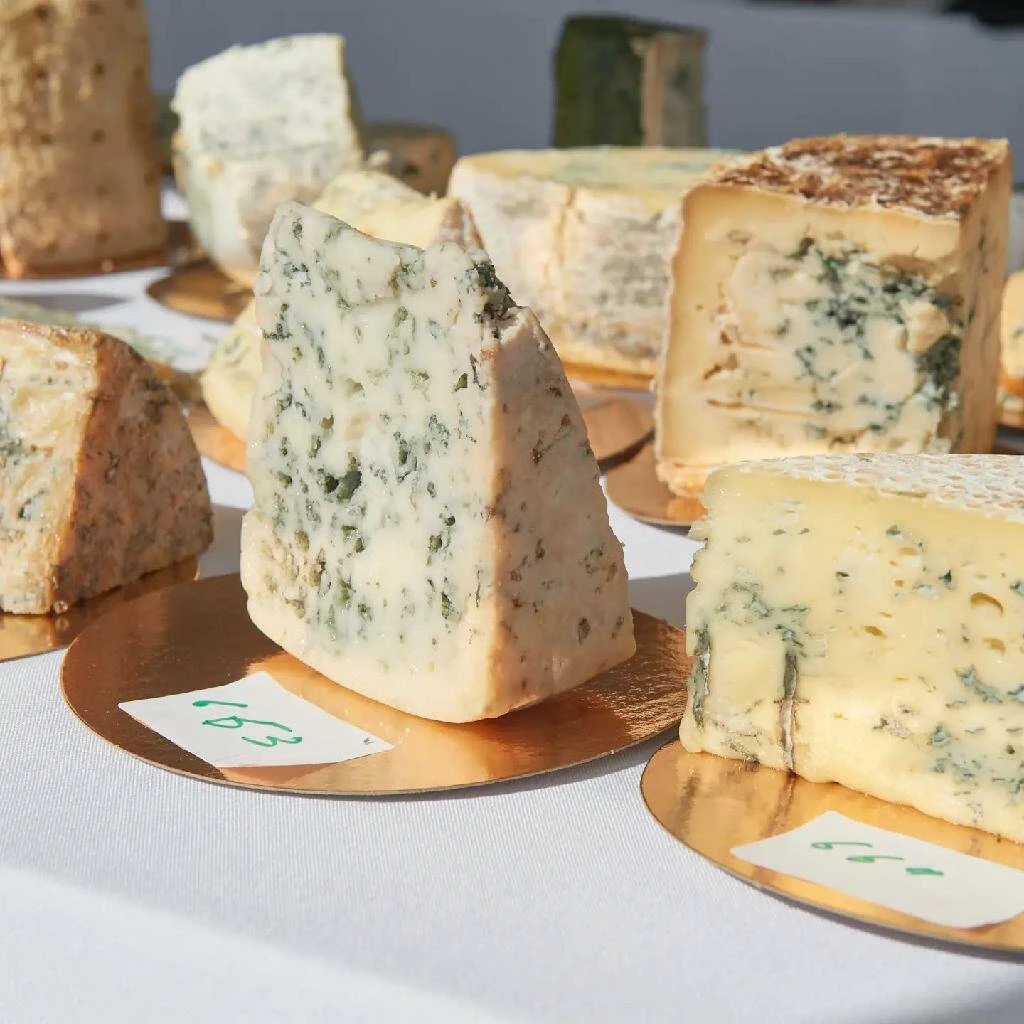 Знаете ли вы, что употребление сыра с плесенью может быть очень полезным для вашего здоровья? – как выбрать сыр, идеи подачи и сочетания