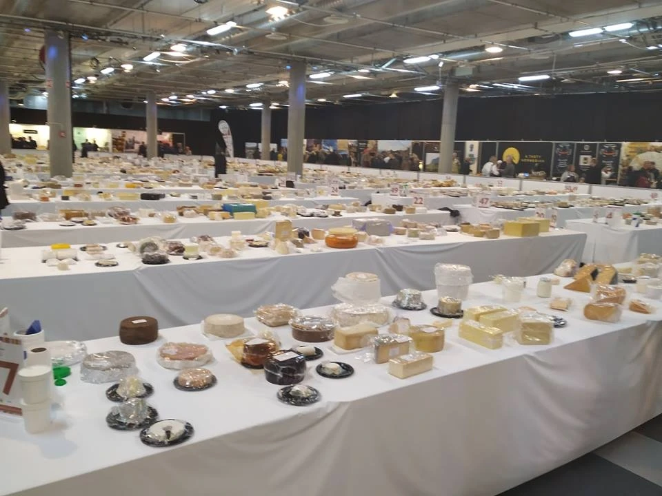 World cheese awards 2018 – как выбрать сыр, идеи подачи и сочетания