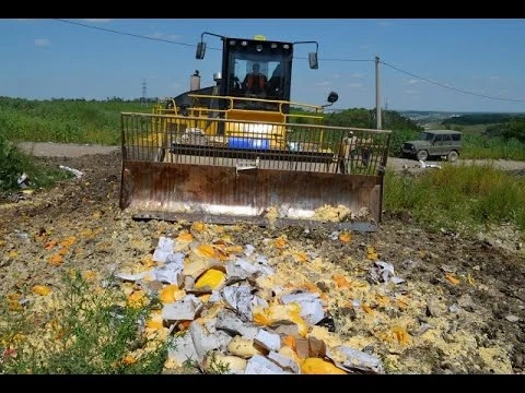 Сыр и санкции.