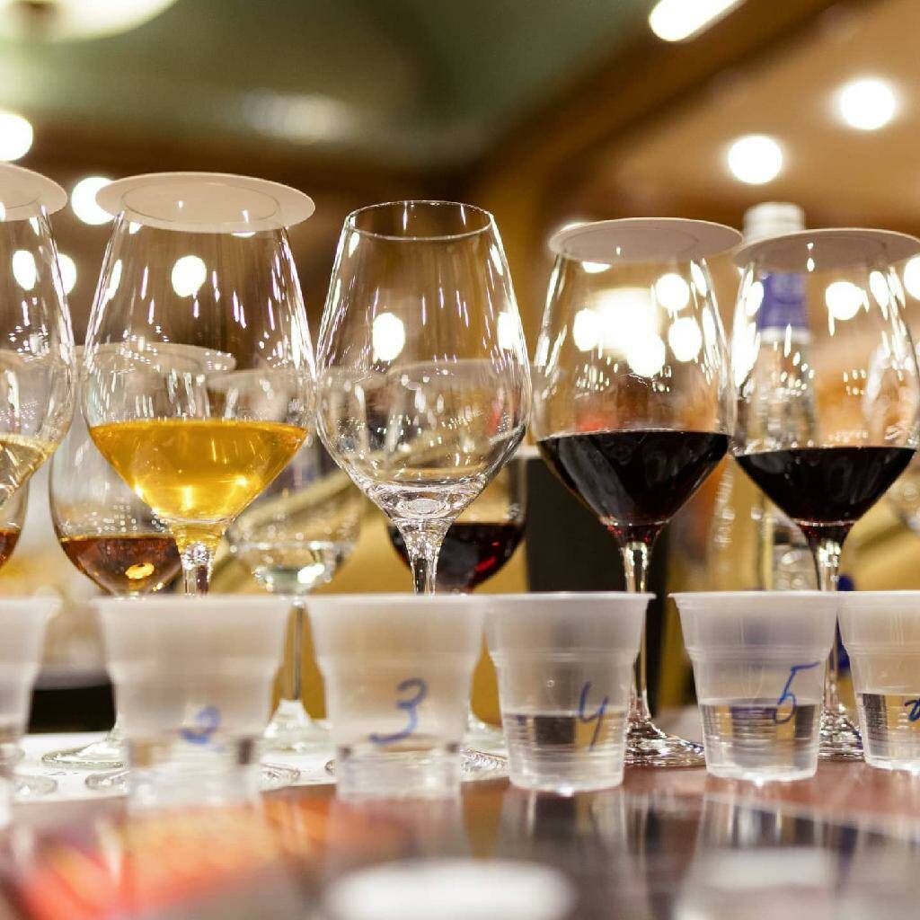 Wine people Trophy Russia 2021