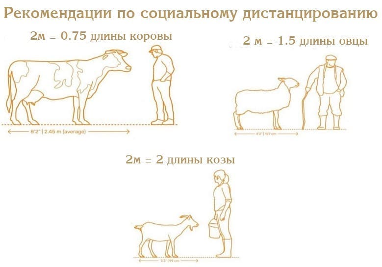Рекомендации по социальному дистанцированию