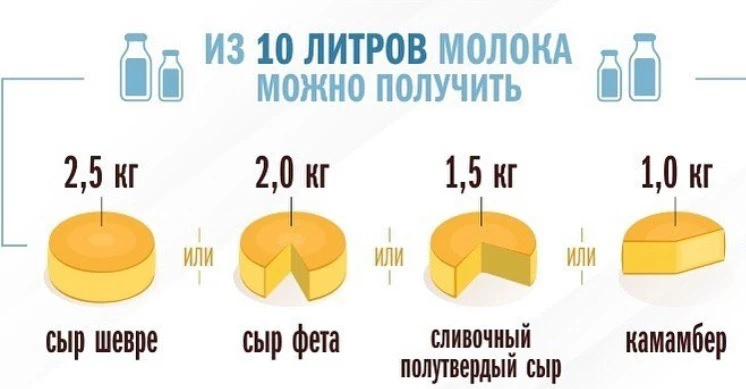 Сколько литров молока нужно для 1 кг сыра?