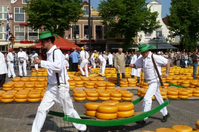 Гауда гордость Голландии – как выбрать сыр, идеи подачи и сочетания