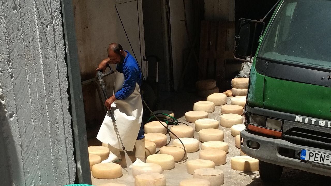 Промывка сыра на Кипре.