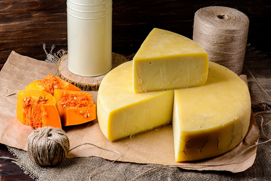 Пропионовые бактерии