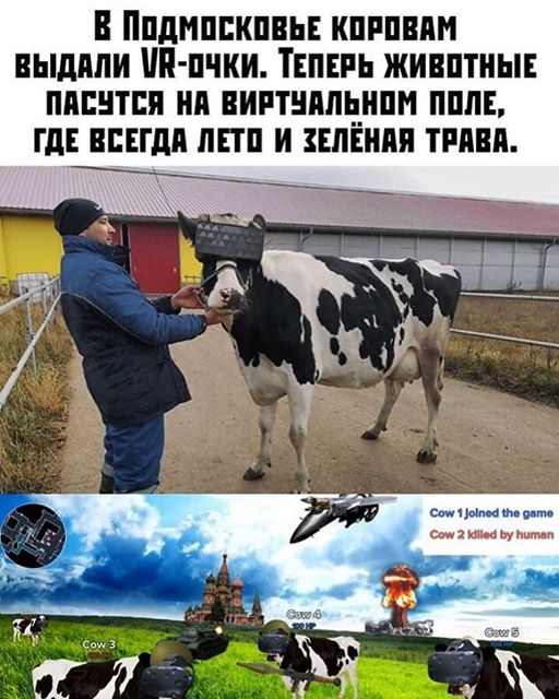 А вы бы хотели, чтобы всегда было лето, зелёная трава и вкусное молоко?