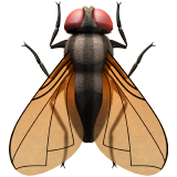 fly_1fab0.png