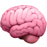 brain