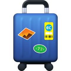 luggage