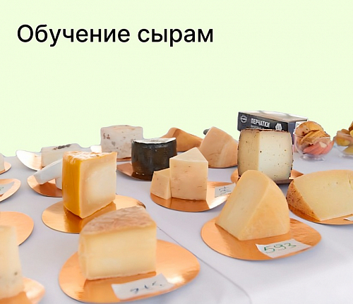 Обучение сырам
