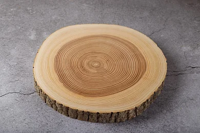 Сырное плато большое