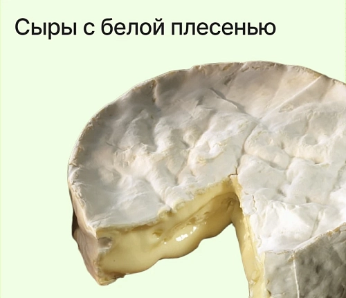 Сыры с белой плесенью