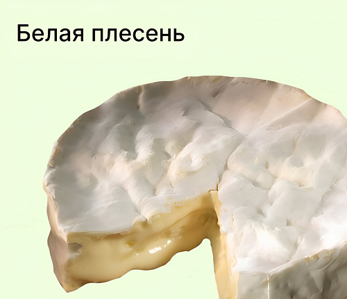 Сыры с белой плесенью