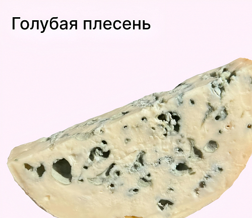 Сыры с голубой плесенью