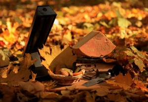 раклет и раклетница в аренду