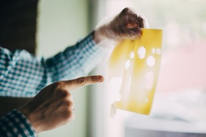 школа сырного сомелье