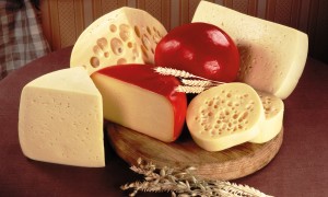 Food_____Different_varieties_of_cheese_086618_