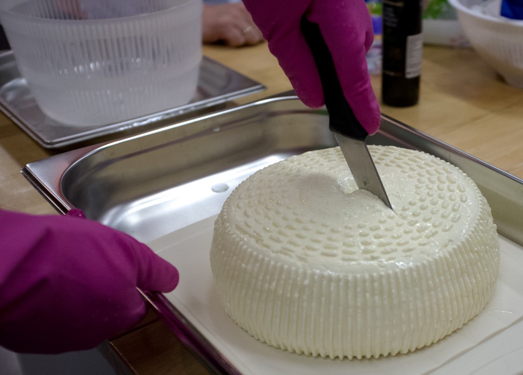 будущаяя-моцарелла