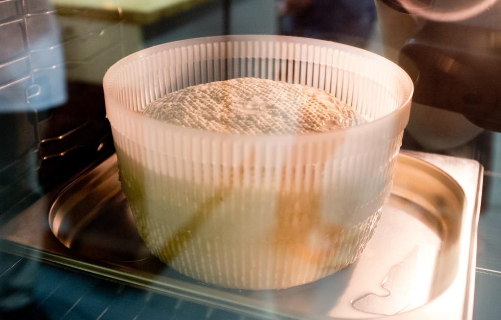 постановка-сырного-зерна