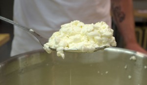 сырное-зерно