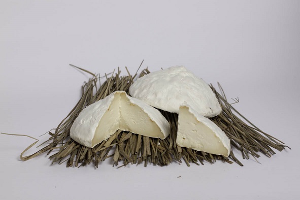 Бри мотивы купола