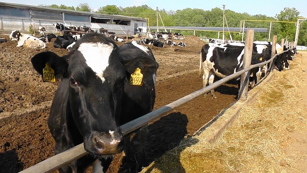 На свежем воздухе