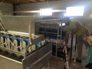 новый цех, доильная машина