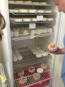 сырный холодильник