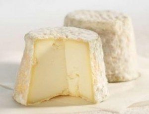 resizedimage320245-cheese7