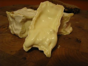 11873452_722466007879894_2687276993475992444_n